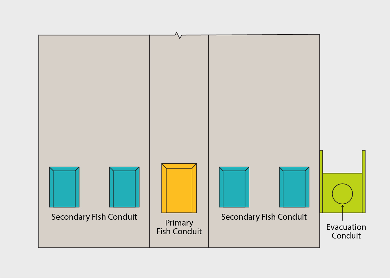 Updated Fish Passage and Evacuation Conduits